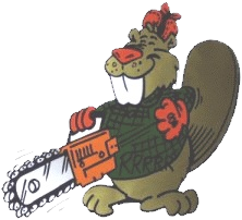 A beaver with a chain saw.