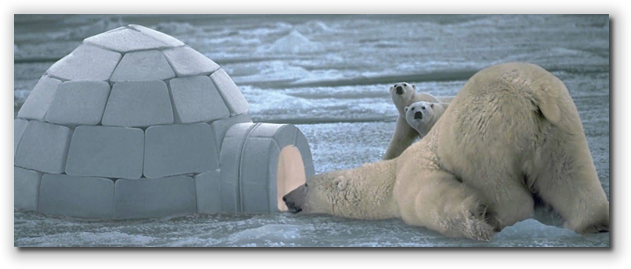 A Polar bear at the door of an igloo.