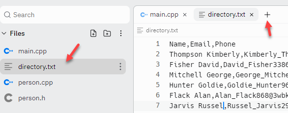 The directory.txt file in the starter Repl.